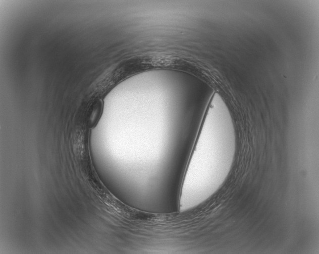 X0000061720697200512021043