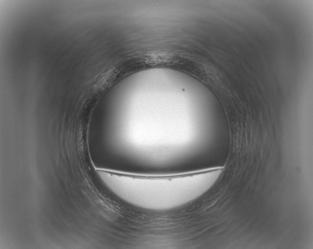 X0000061720700200512021042