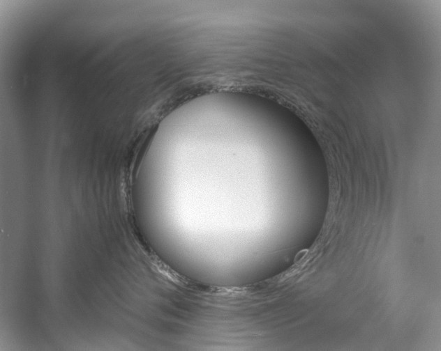 X0000061720720200512021042