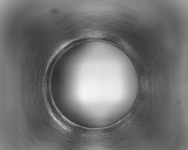 X0000061720726200512021041