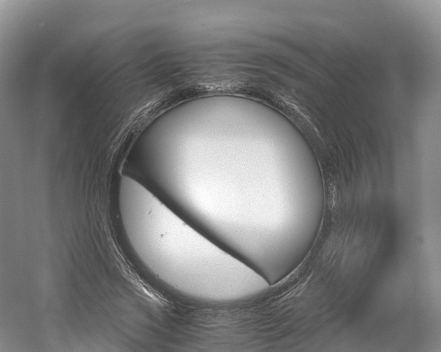 X0000061720733200512021041