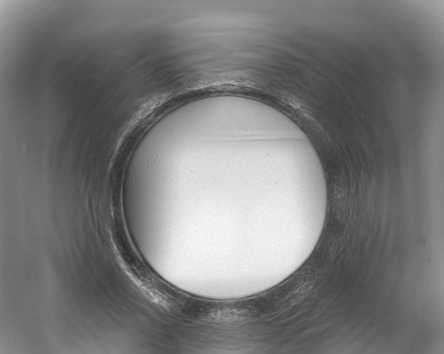 X0000061720734200512021042