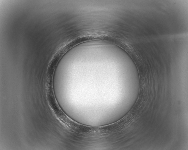 X0000061720736200512021042