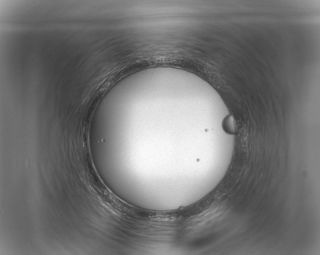 X0000061720746200512021042