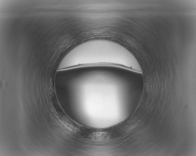 X0000061720748200512021042