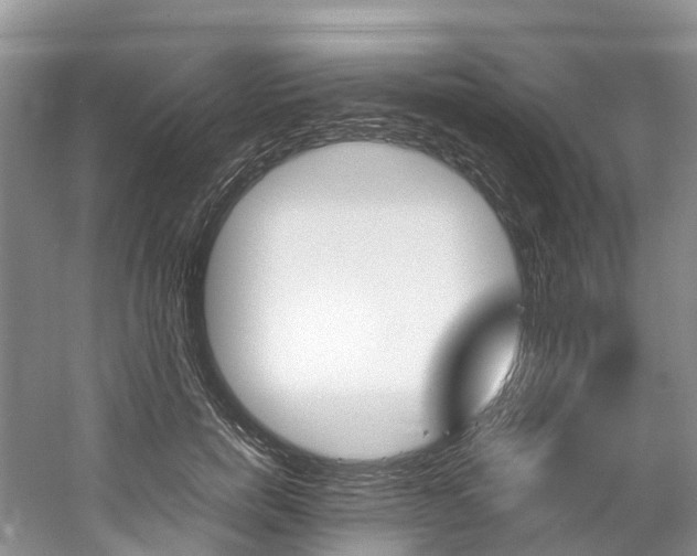 X0000061720750200512021042