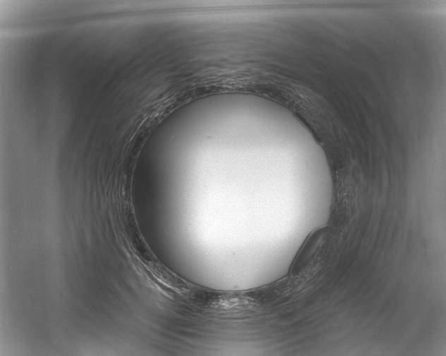 X0000061720752200512021042