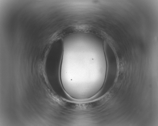 X0000061720764200512021042