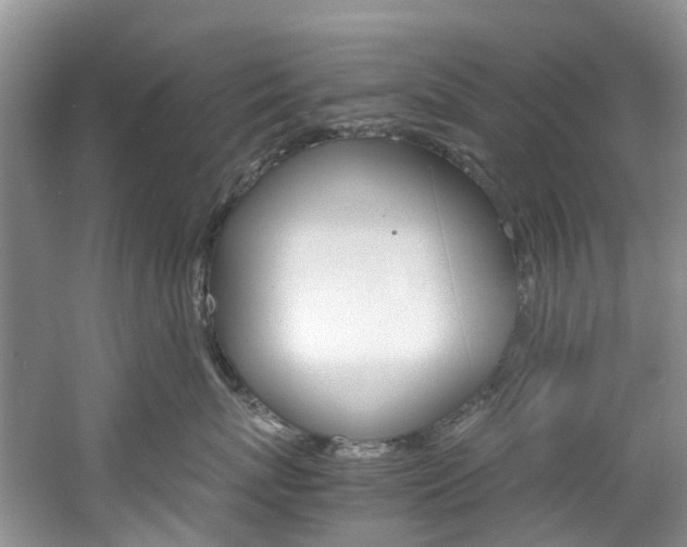 X0000061720767200512021042