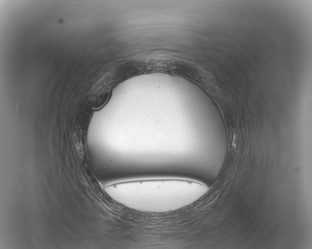 X0000061720771200512021041