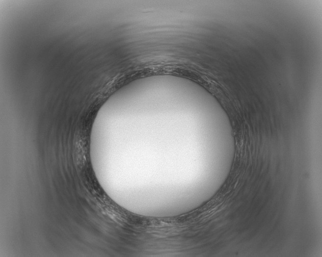 X0000061720772200512021041