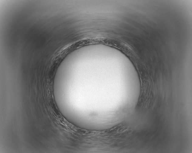 X0000061720773200512021041