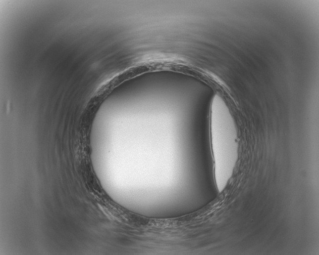X0000061720775200512021041
