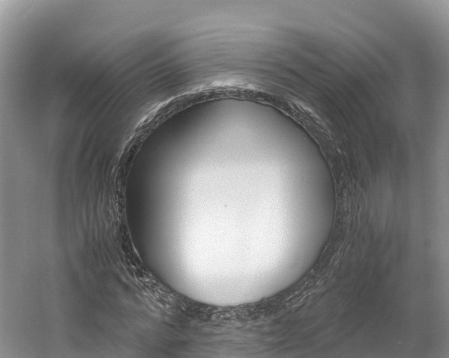 X0000061720776200512021041