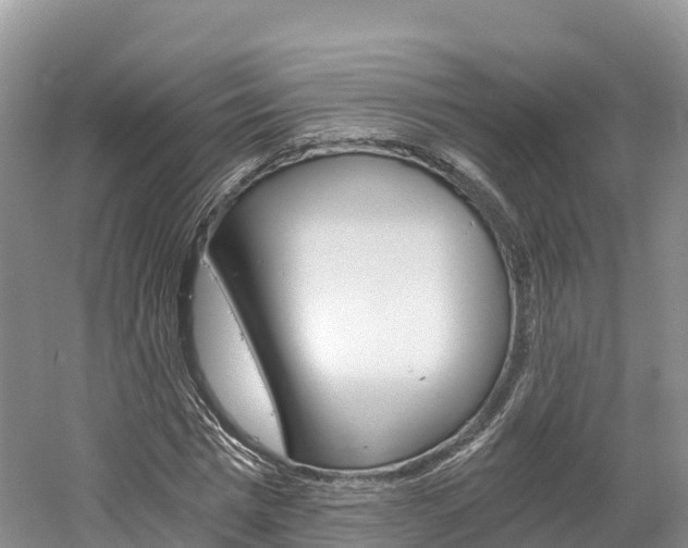 X0000061720777200512021041
