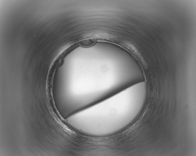 X0000061720780200512021041