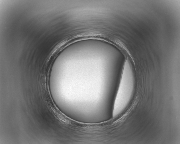 X0000061720781200512021041