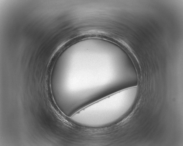 X0000061720783200512021041