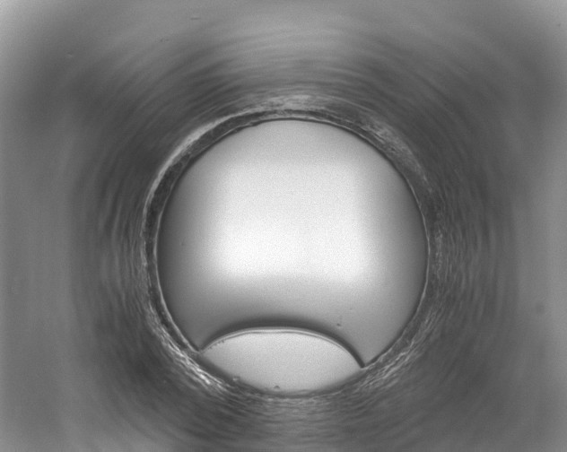 X0000061720784200512021041