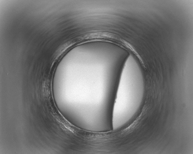 X0000061720786200512021041