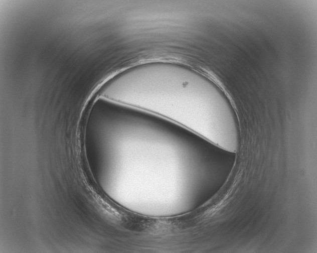 X0000061720787200512021041