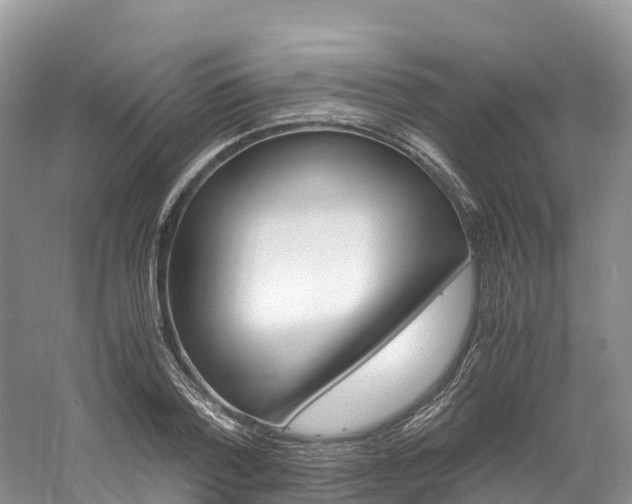 X0000061720788200512021041