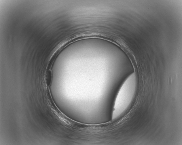 X0000061720789200512021041