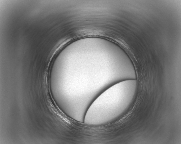 X0000061720790200512021041