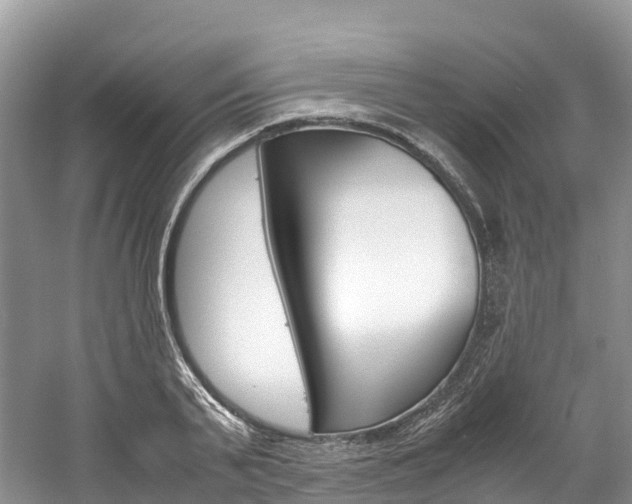 X0000061720791200512021041
