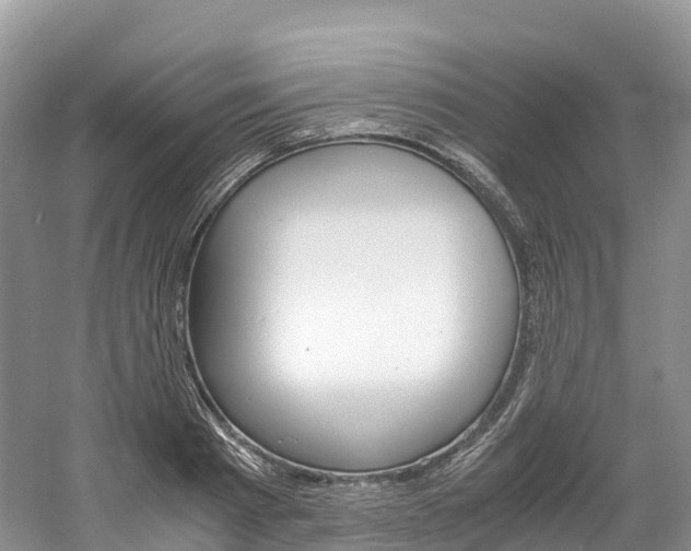 X0000061720793200512021041