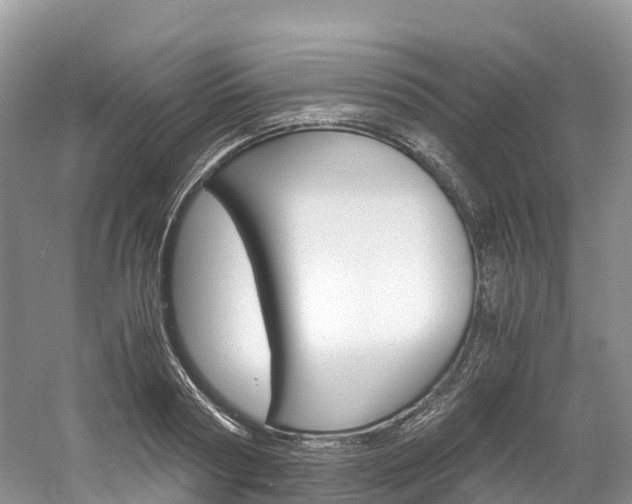 X0000061720794200512021041