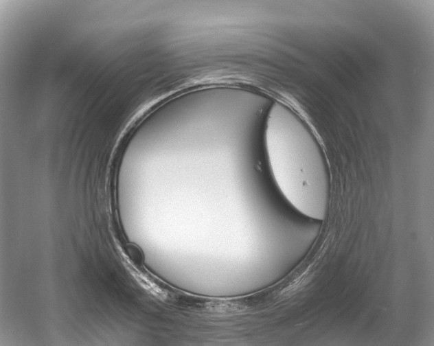 X0000061720795200512021041