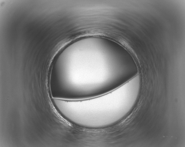 X0000061720797200512021041