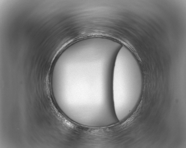 X0000061720798200512021041