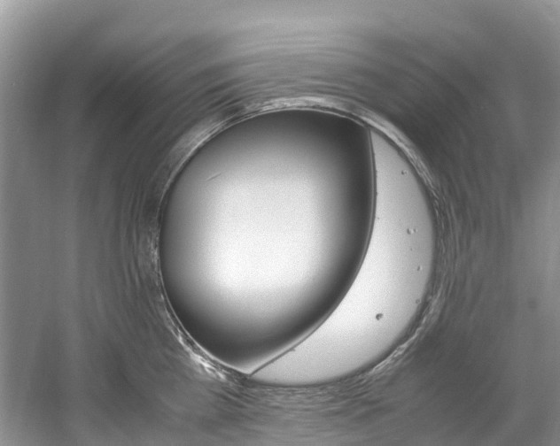 X0000061720809200512021041