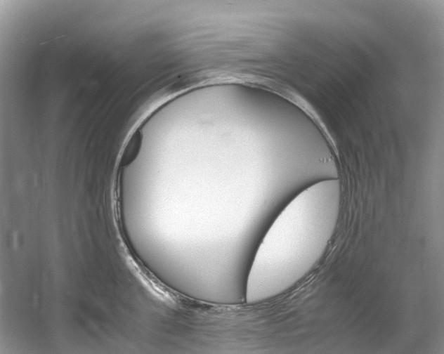 X0000061720811200512021041