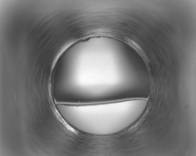 X0000061720812200512021041