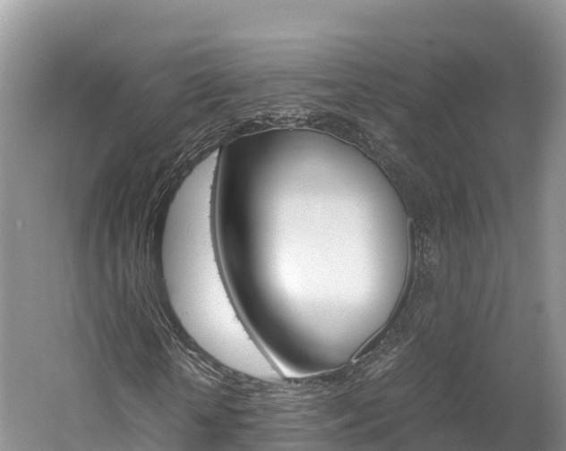 X0000061720818200512021040
