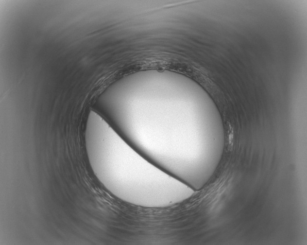 X0000061720819200512021040