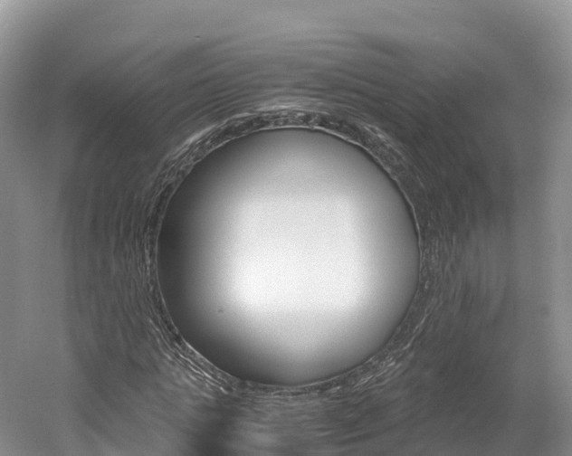 X0000061720821200512021040