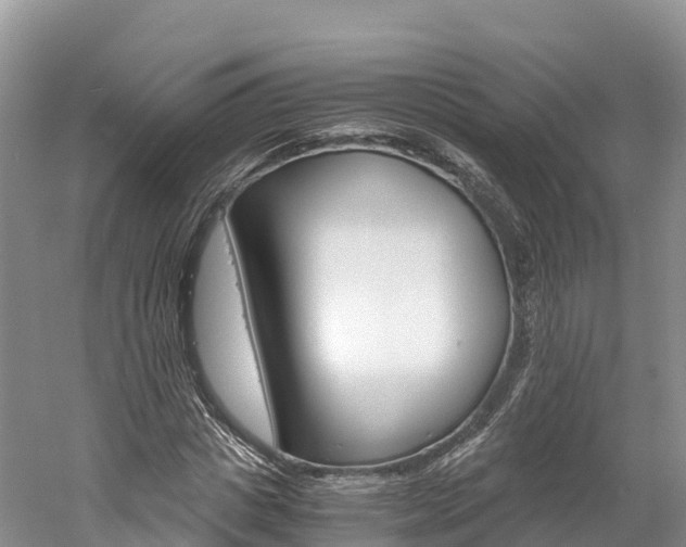 X0000061720825200512021040