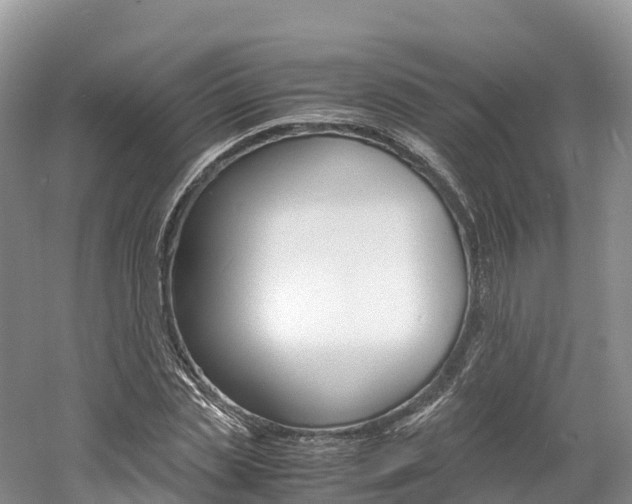 X0000061720829200512021040