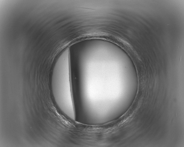 X0000061720833200512021040