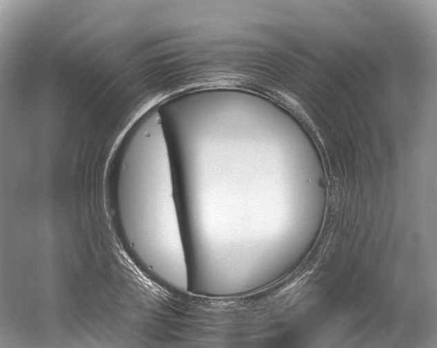 X0000061720835200512021040