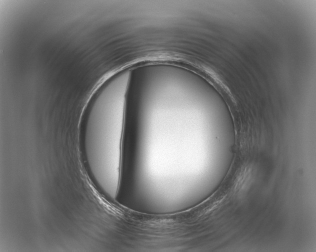 X0000061720837200512021040