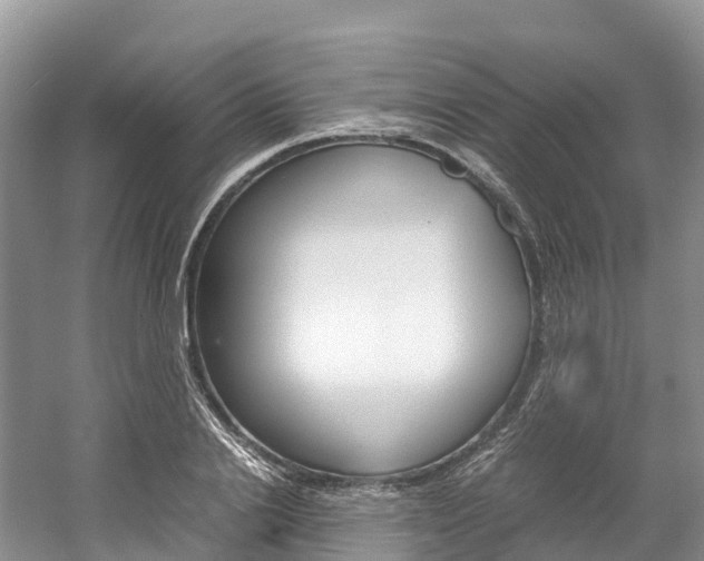 X0000061720838200512021040