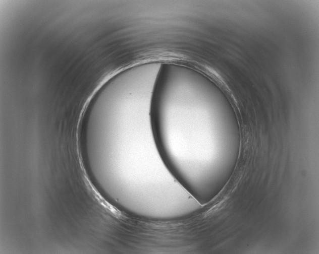 X0000061720843200512021040