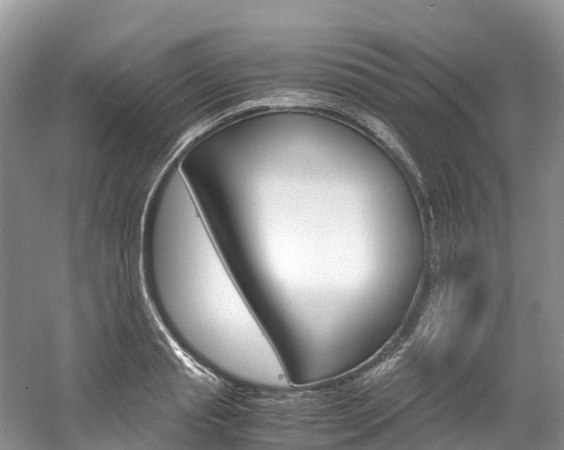 X0000061720845200512021040