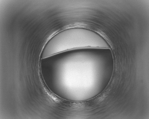 X0000061720850200512021040