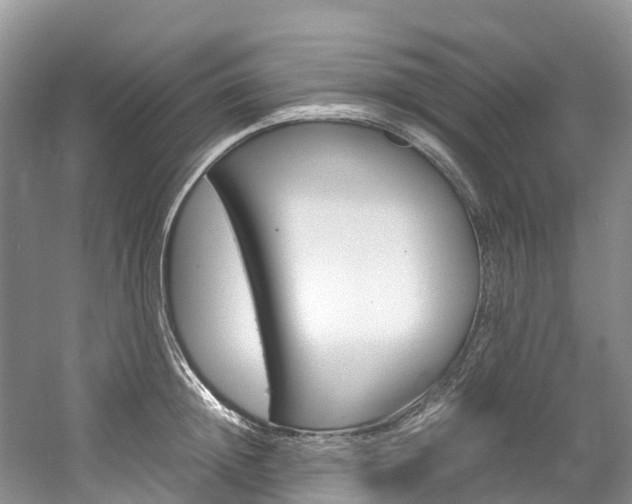 X0000061720852200512021040